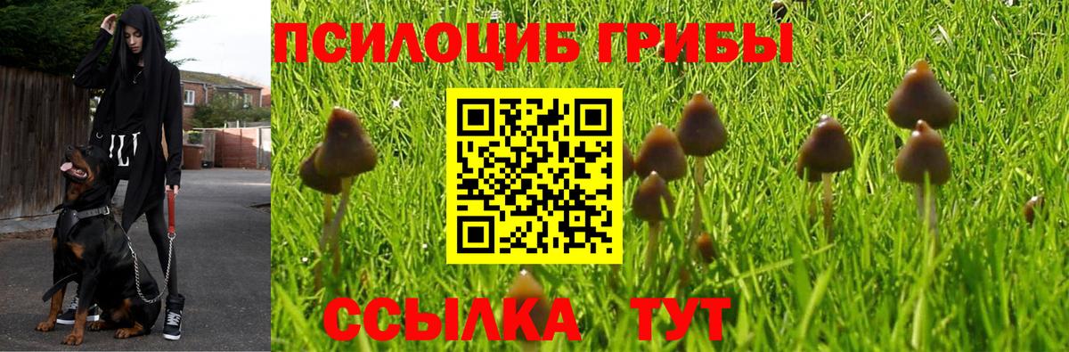 Галлюциногенные грибы мухоморы  Вход с VPN  продажа наркотиков  Набережные Челны  Псилоцибиновые грибы GOLDEN TEACHER 