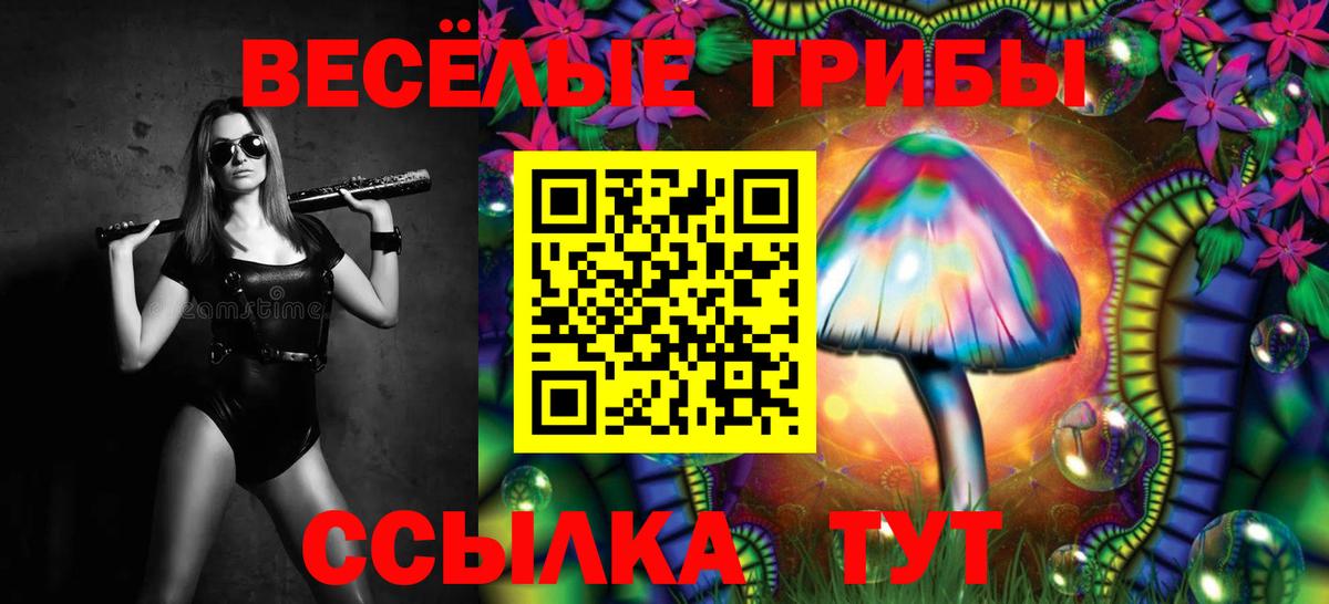 Псилоцибиновые грибы MAGIC MUSHROOMS Набережные Челны